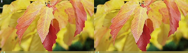 Win8 desktop leaves fit mirrored 600