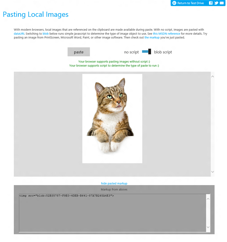 The Paste Image Test Drive tests whether your browser can paste images using either DataUIri or Blob