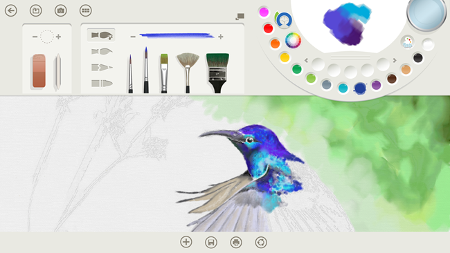 Image1-FreshPaint_PaletteBlue_hummingbird