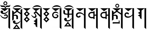 Sample of Soyombo script showing the consistent vertical descenders.