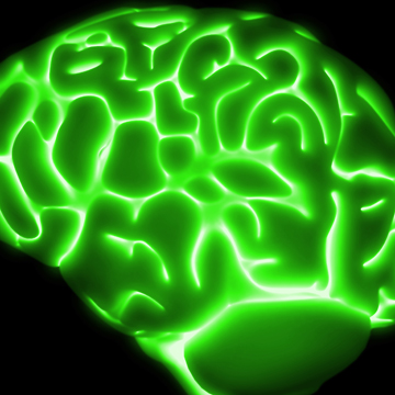 brain-scan-featured