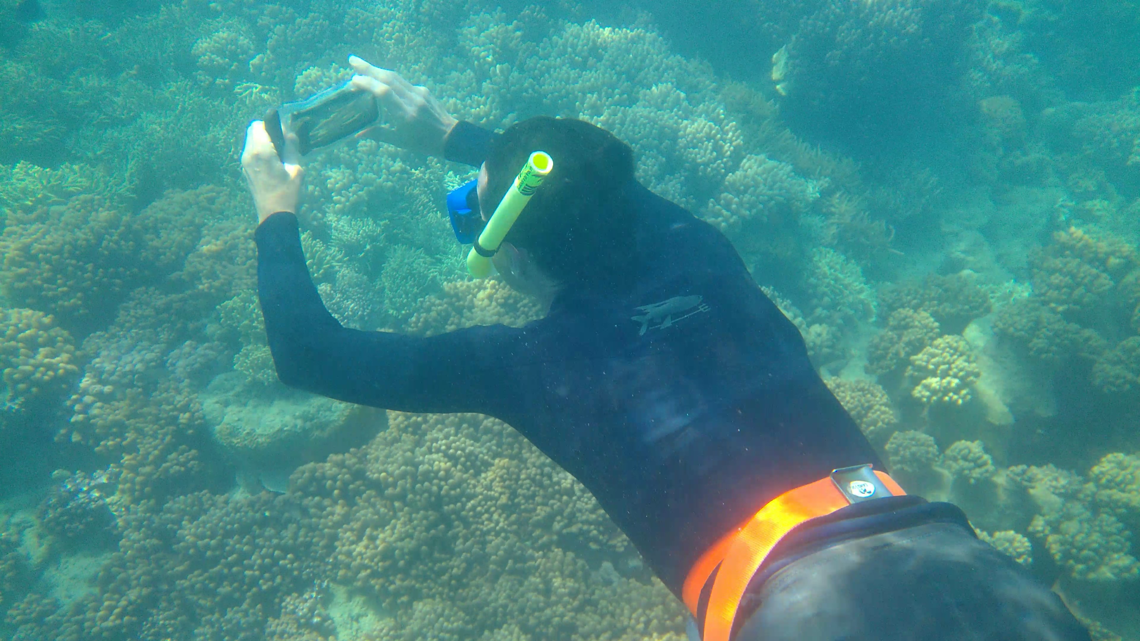 Great-Barrier-Reef-0969_Moment