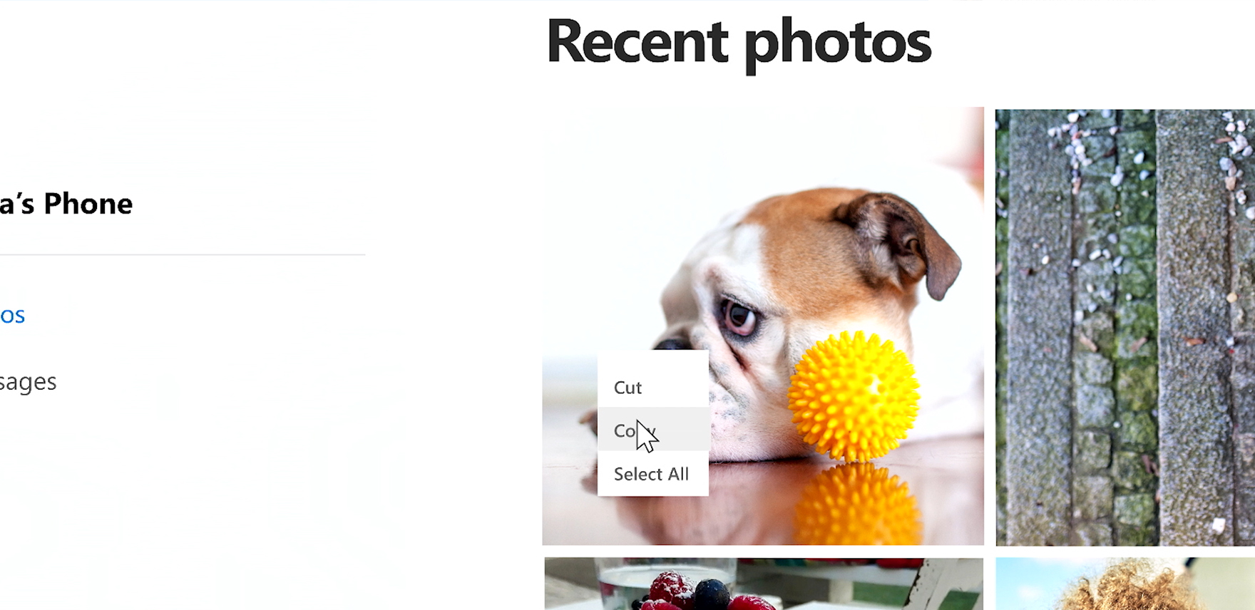 Image of a bulldog and a cursor hovering over Copy