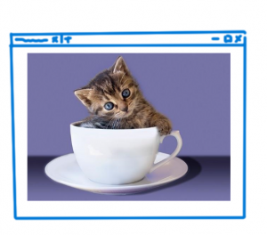 Picture of a cat in a teacup