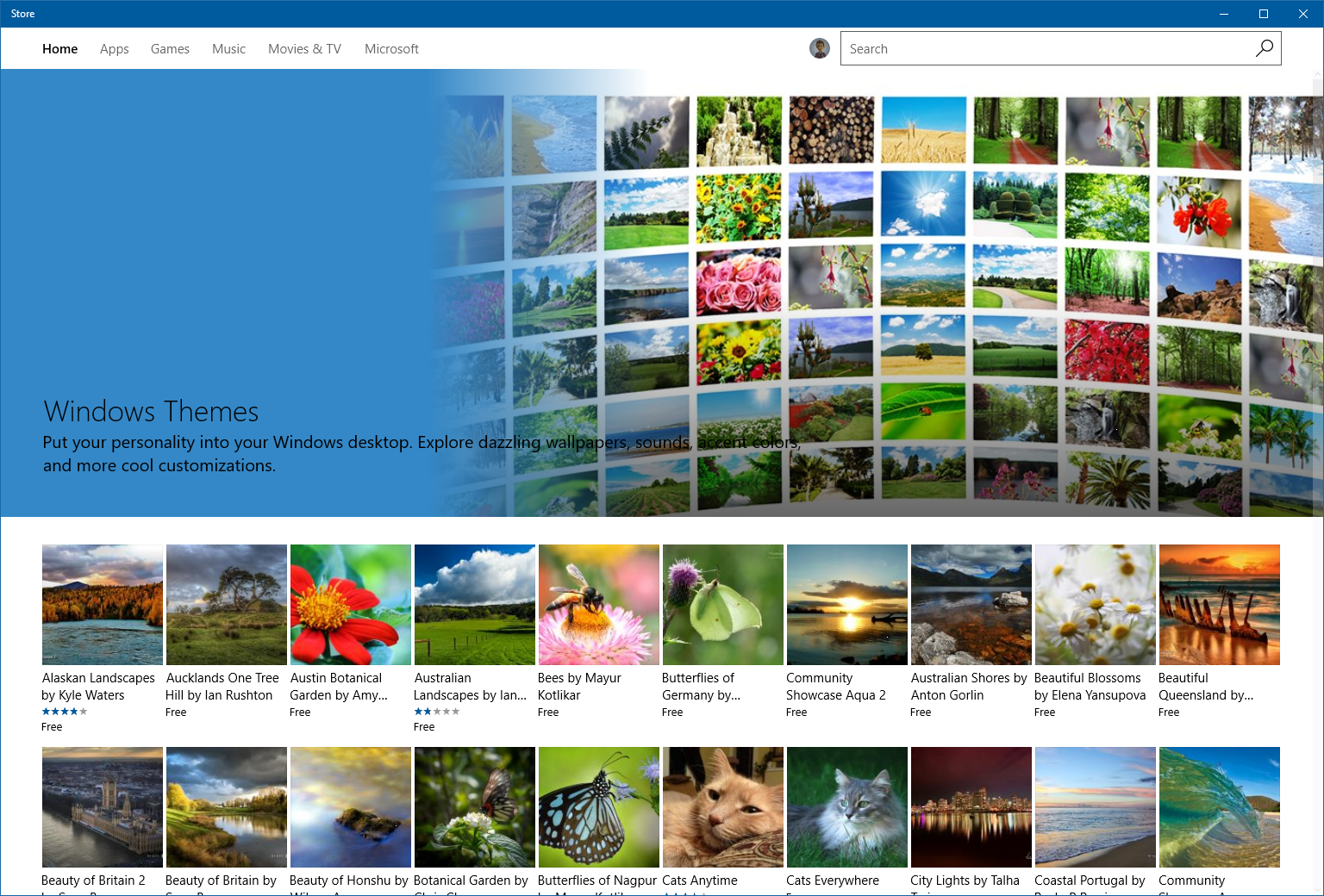 Themes in the Windows Store.