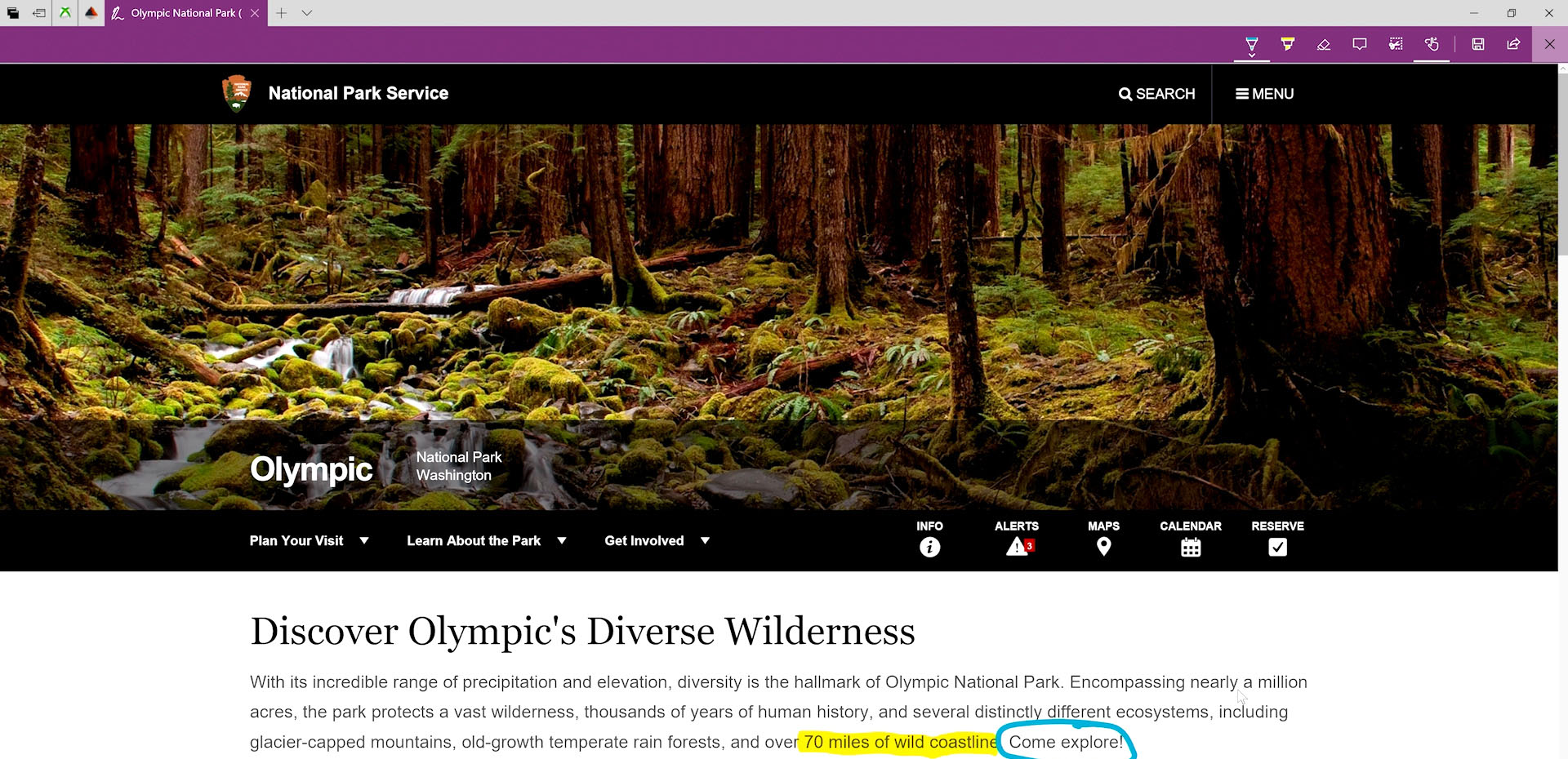 Windows Ink shown highlighting and writing on a webpage in Microsoft Edge.