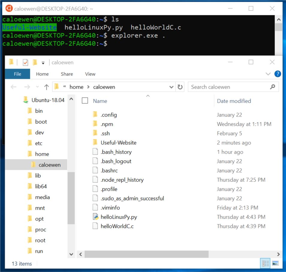 Screenshot of File Explorer showing Linux files.