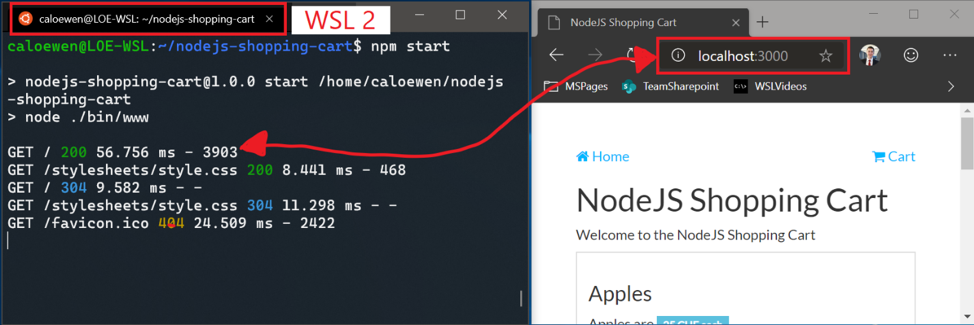 The Microsoft Edge browser connected to a NodeJS server running inside of a Windows Subsystem for Linux 2 distro.