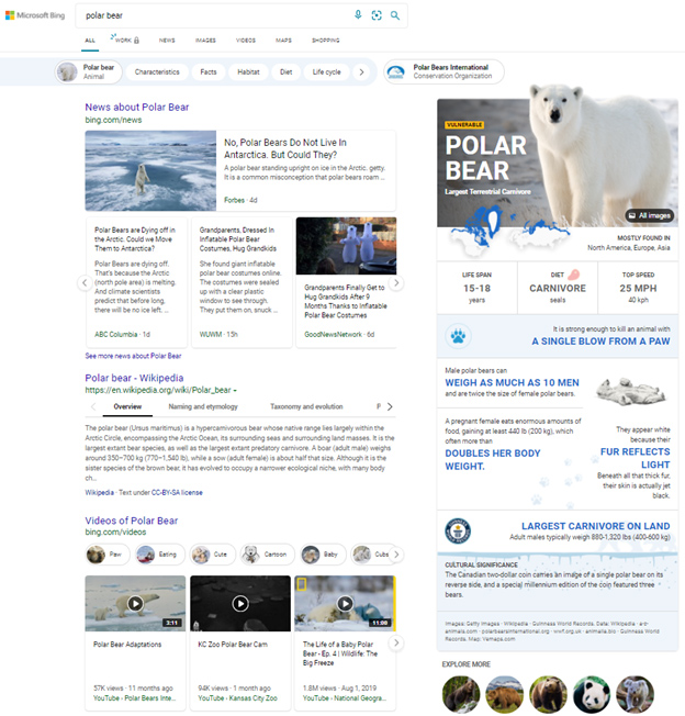 Bing knowledge card for polar bears