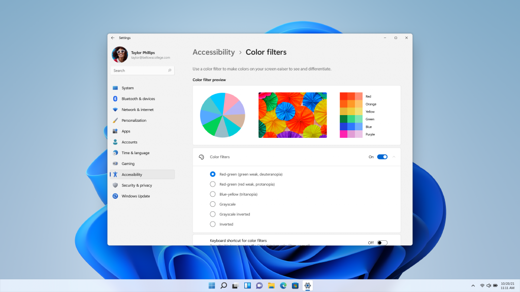 Screenshot of settings with color filters and accessibility icon in Windows 11