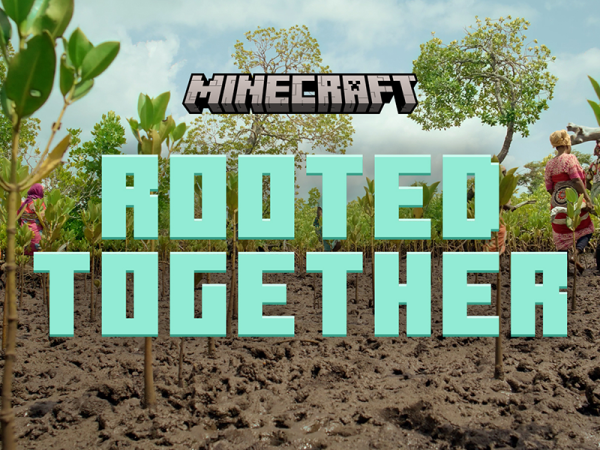 Plants growing up from the ground beind the words Minecraft Rooted Together