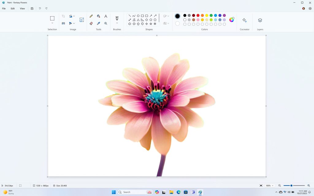 Flower in Paint with background removed