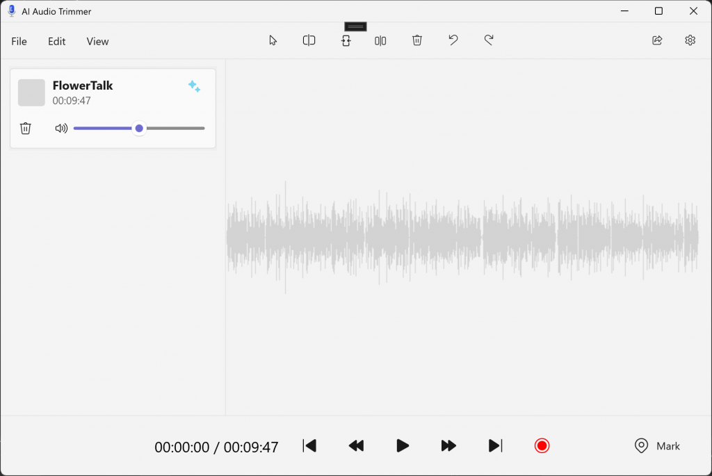 View of the audio editor app