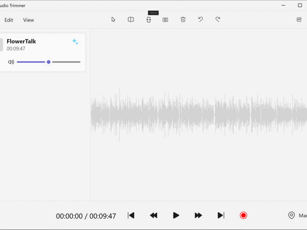 View of the audio editor app