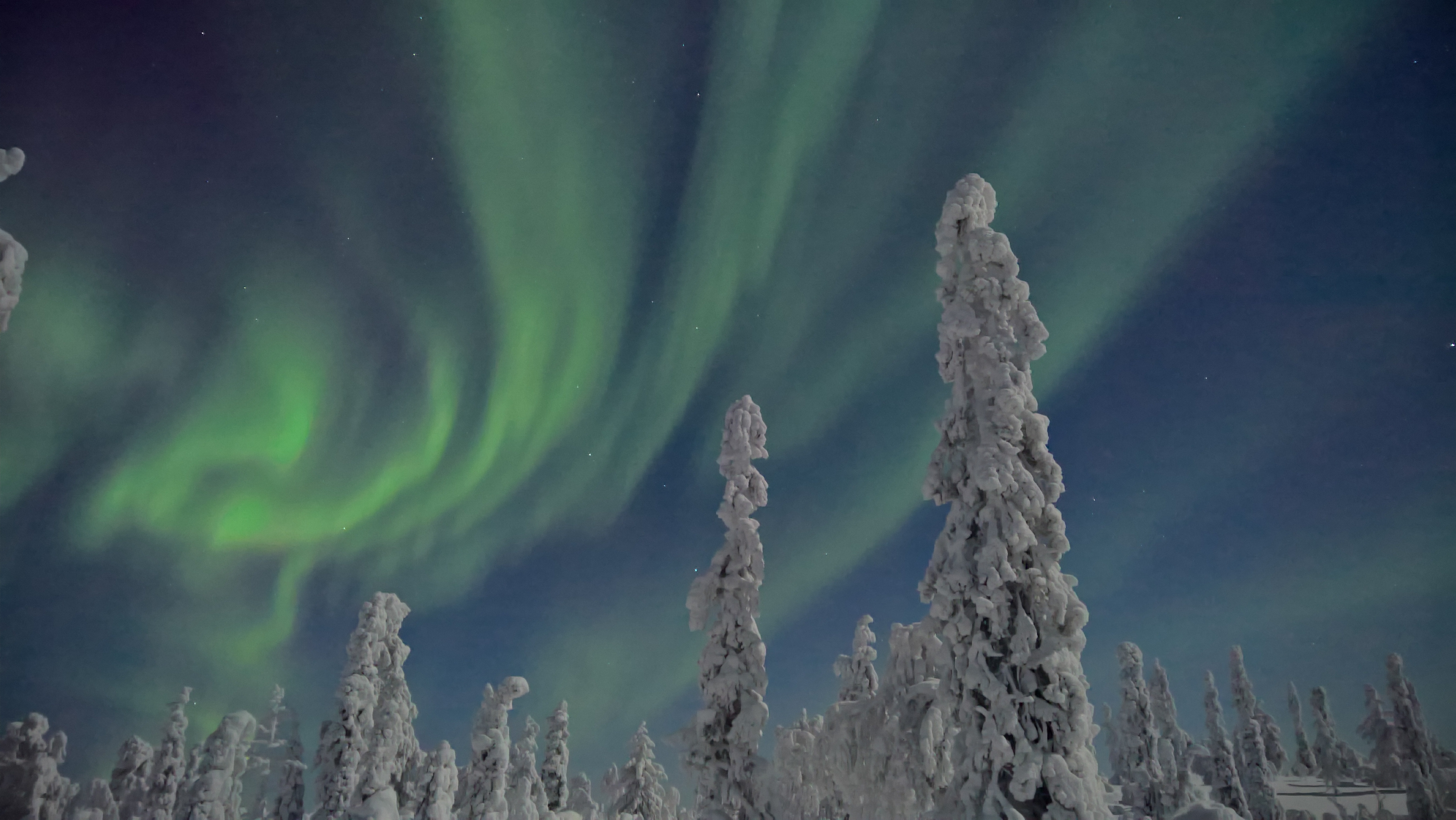 The Aurora Borealis dances in glowing green spirals above treetops near Levi, Finland. Shot with Lumia 950, by Stephen Alvarez.
