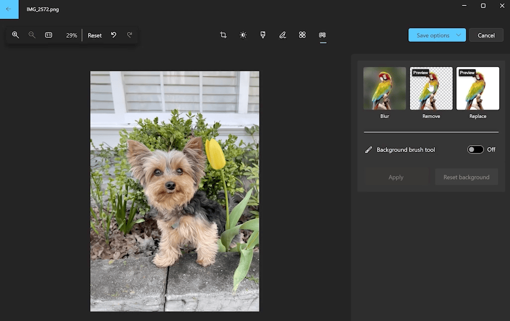 Background Removal in Paint begins rolling out to Windows Insiders