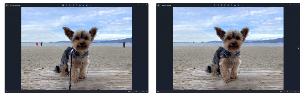 Before and after using generative erase to remove unwanted objects from the photo.