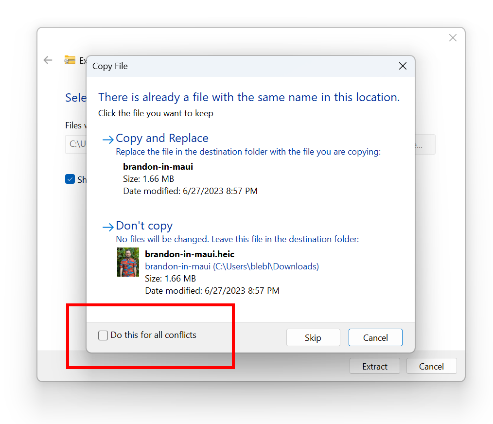 New option highlighted for choosing to apply your selected action (skip, replace) for all conflicts when extracting files in File Explorer