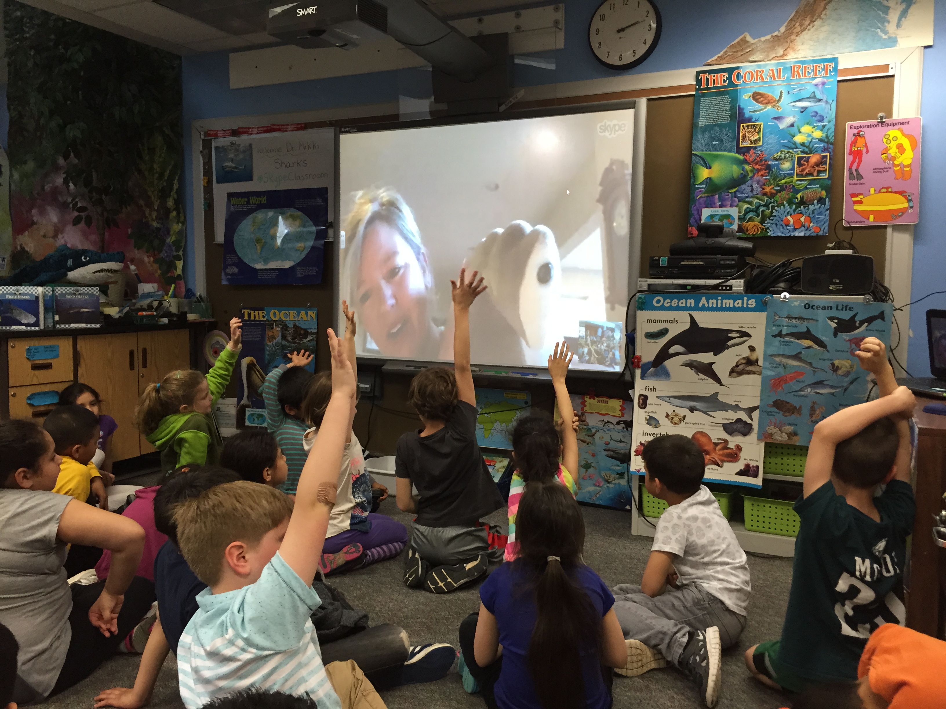Skype in the Classroom - sharks